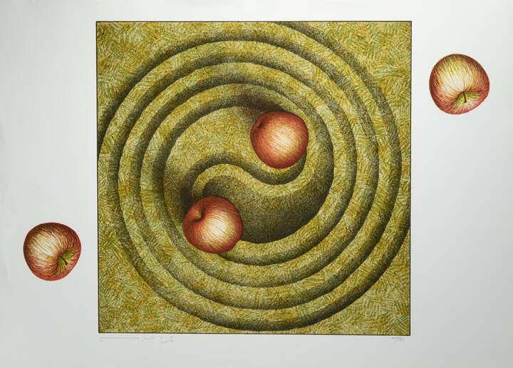 VANNI VIVIANI - 'Spirale di sabbia'