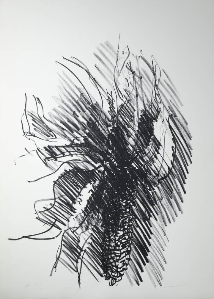 ENNIO MORLOTTI - 'Pannocchia di granoturco'