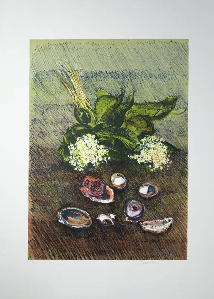 GIANCARLO CAZZANIGA - 'Natura morta con conchiglie'