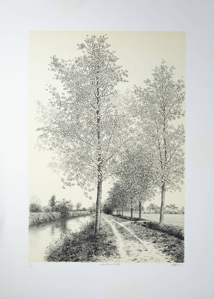 AGOSTINO ZALIANI - 'Sentiero d'estate'