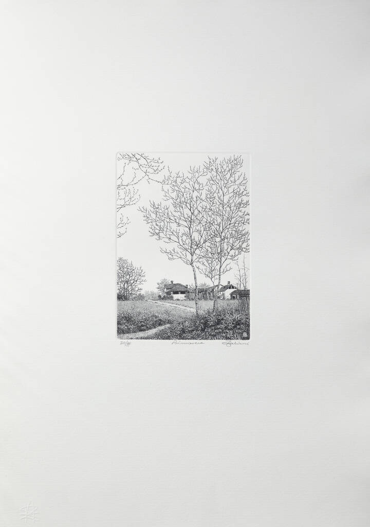 AGOSTINO ZALIANI - 'Primavera'