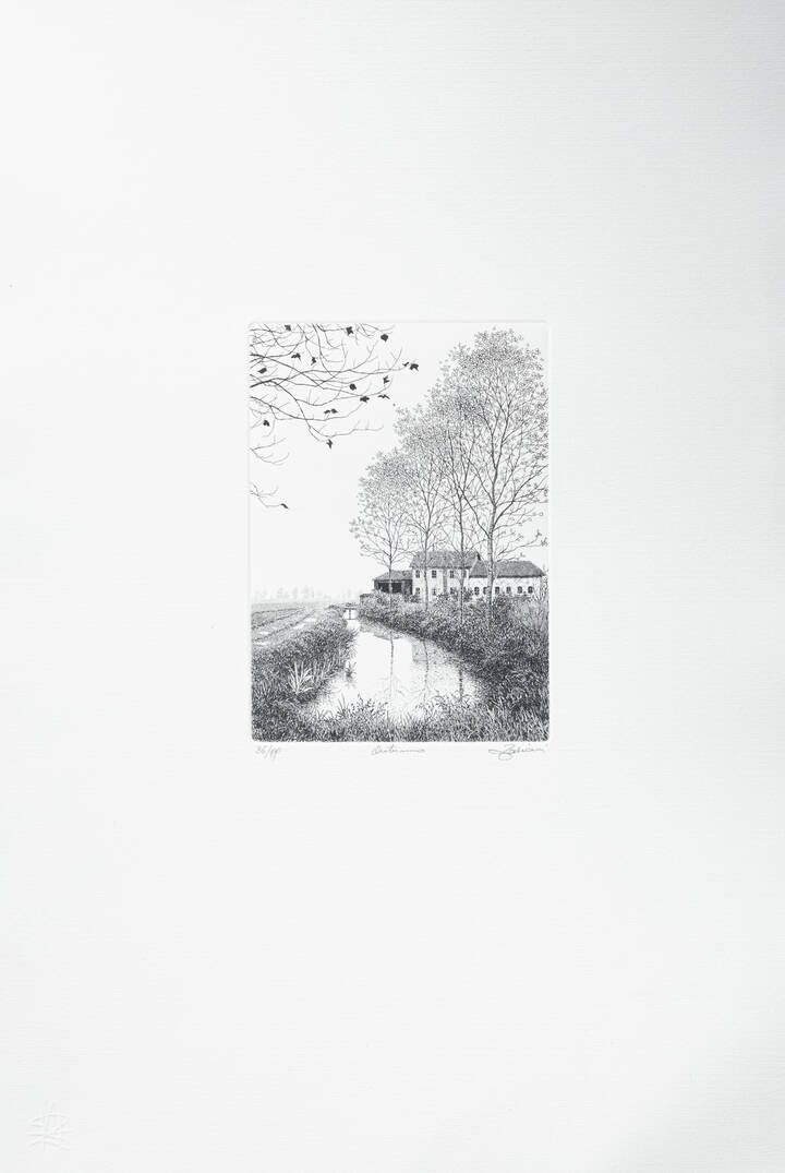 AGOSTINO ZALIANI - 'Autunno'