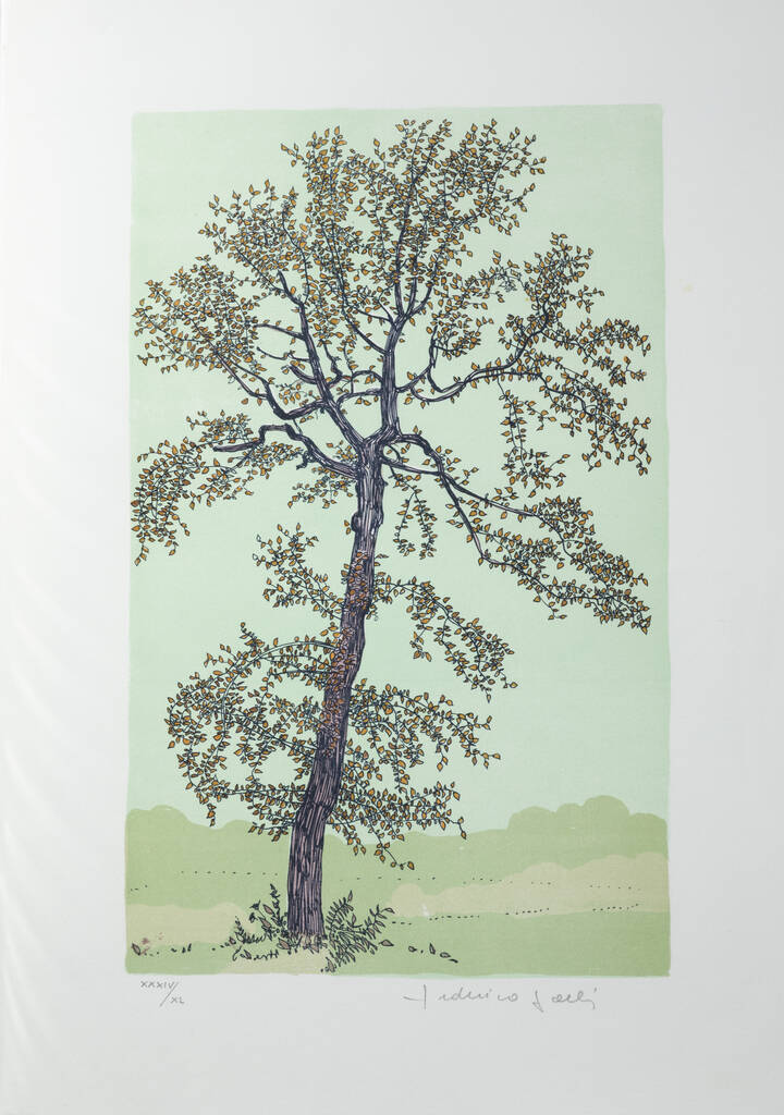 FEDERICA GALLI - 'Albero'