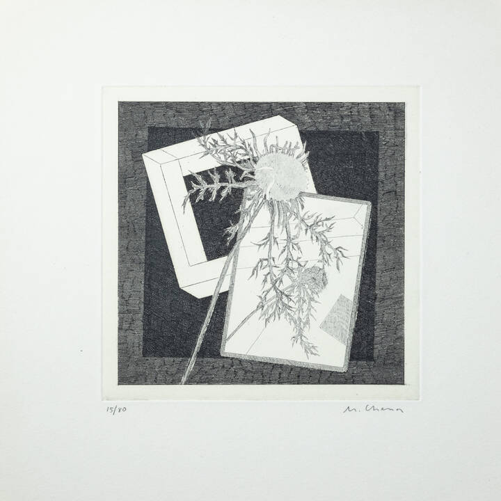 MAURO CHESSA - 'Cardo'