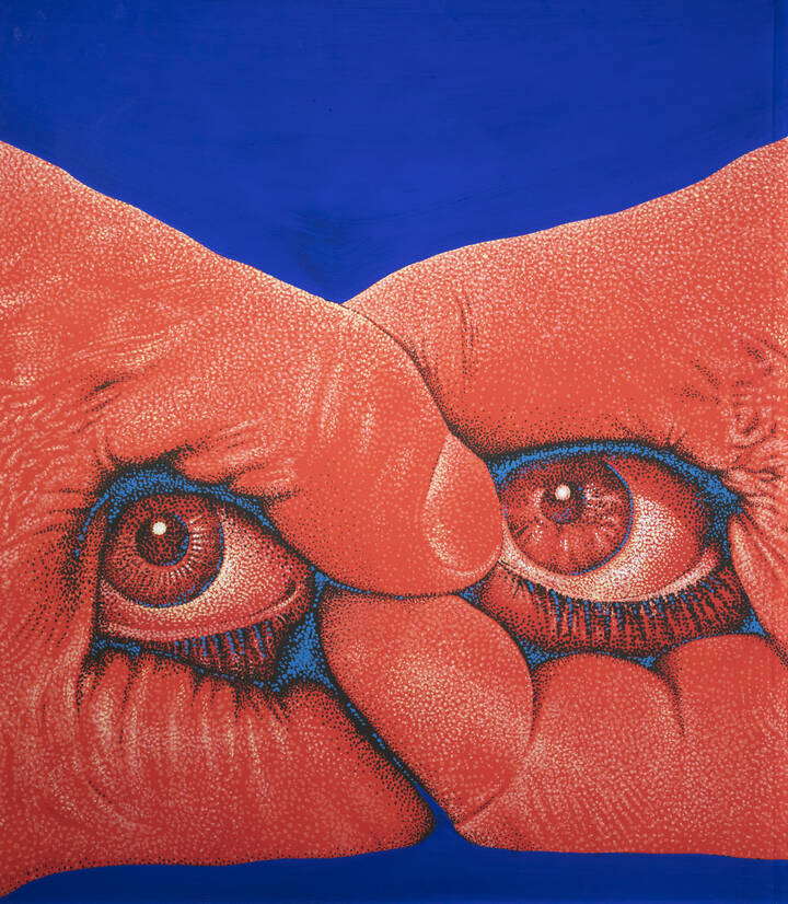 GABRIELE AMADORI - 'Gli occhi di Santa Lucia' 1972