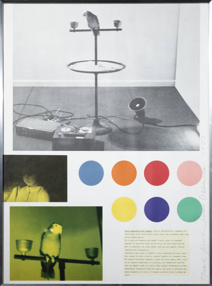 DENNIS OPPENHEIM - 'Color application for Chandra' 1977