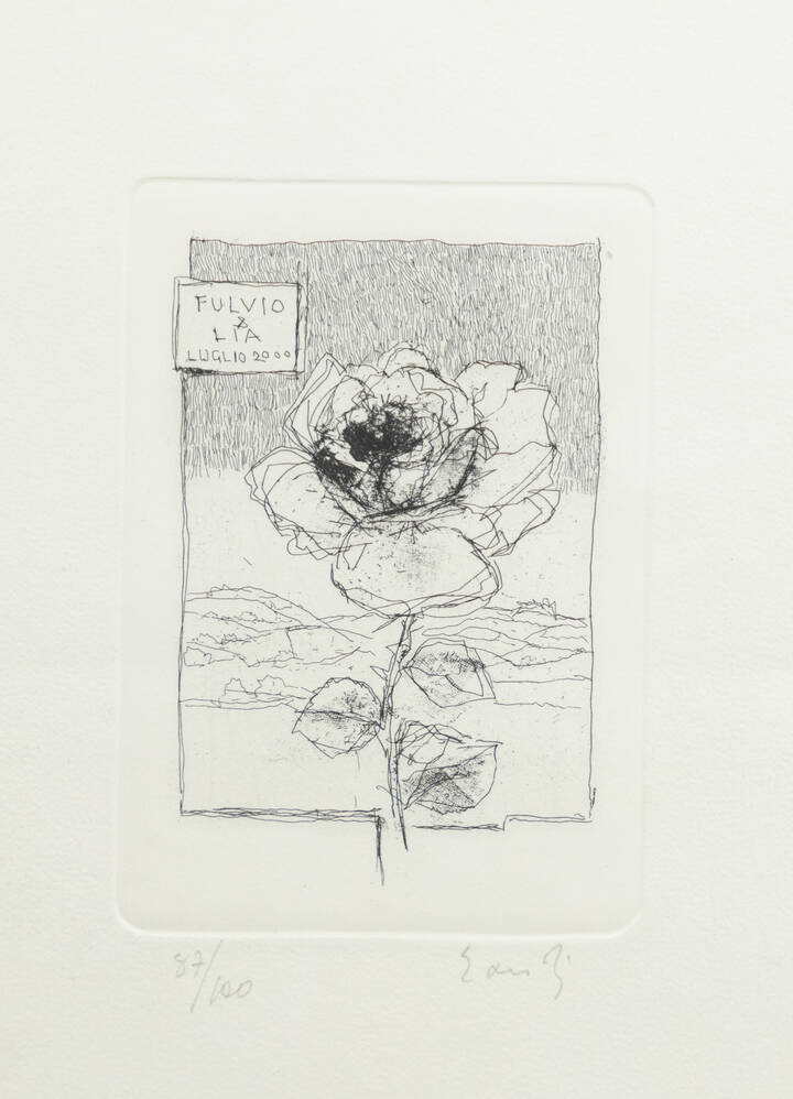 FERNANDO EANDI - 'Rosa' 2000