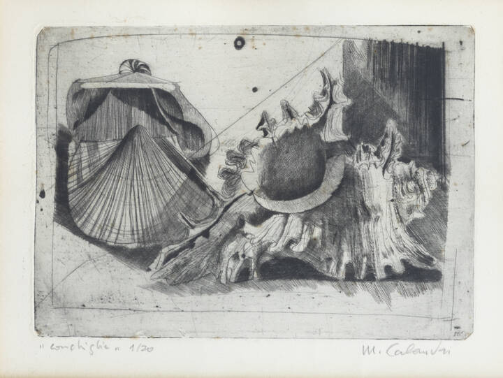 MARIO CALANDRI - 'Conchiglie' 1957