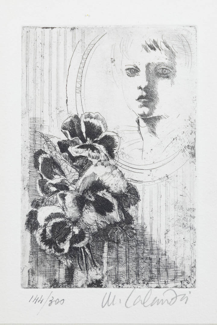 MARIO CALANDRI - 'Viole del pensiero'