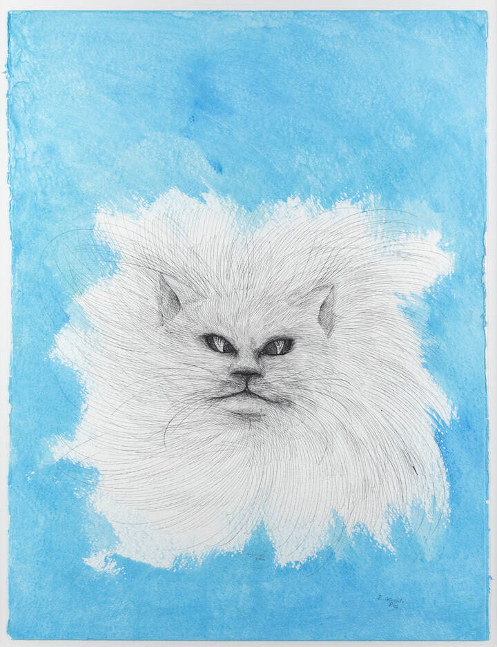 ENRICO COLOMBOTTO ROSSO - 'Gatto'