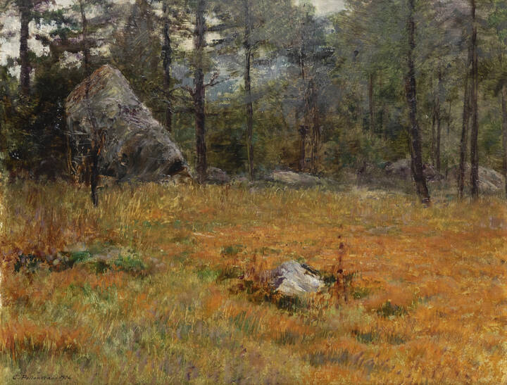 CARLO POLLONERA - 'Paesaggio' 1904