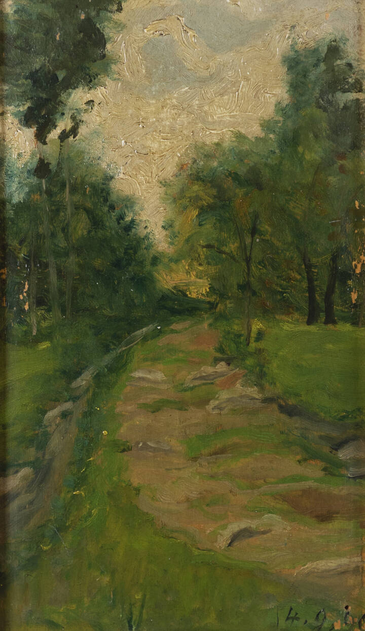 SCUOLA DI DELLEANI - 'Stradina di campagna' 4..9.1896