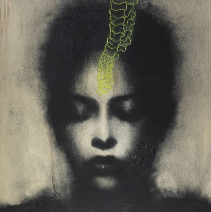 OMAR GALLIANI - 'Eurasia n. 13'