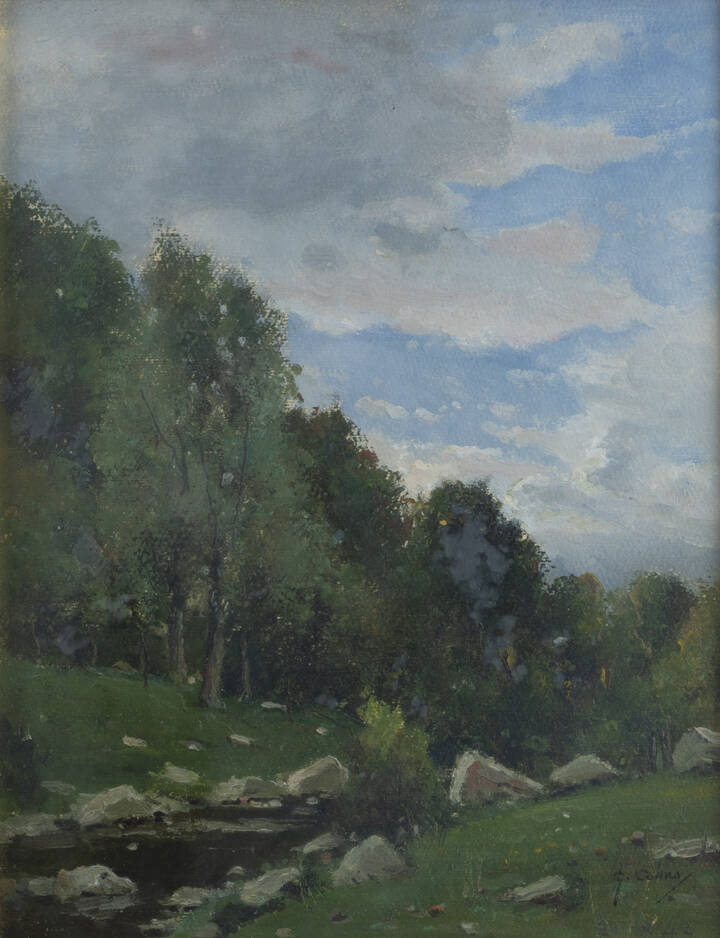 GIOVANNI COLMO - 'Bosco con torrente'