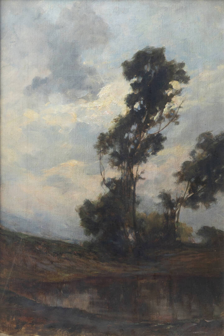 CARLO FOLLINI - 'Laghetto'