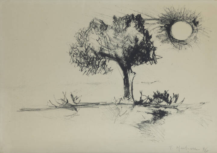 PIERO MARTINA - 'Albero al sole'