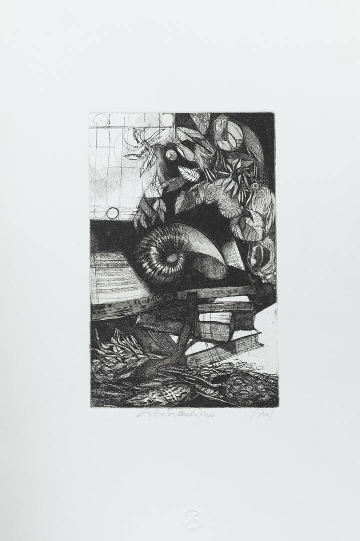 GIACOMO SOFFIANTINO - 'Natura morta con conchiglia'