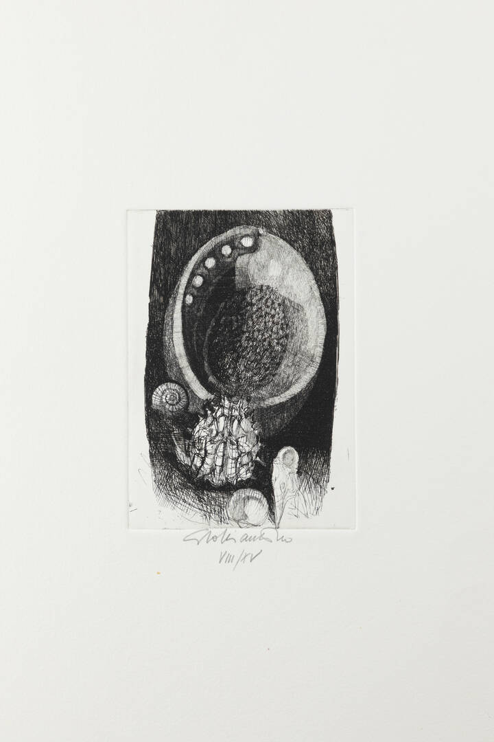 GIACOMO SOFFIANTINO - 'Conchiglie'