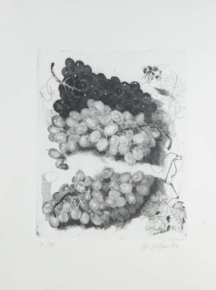 MARIO CALANDRI - 'L'uva' 1978