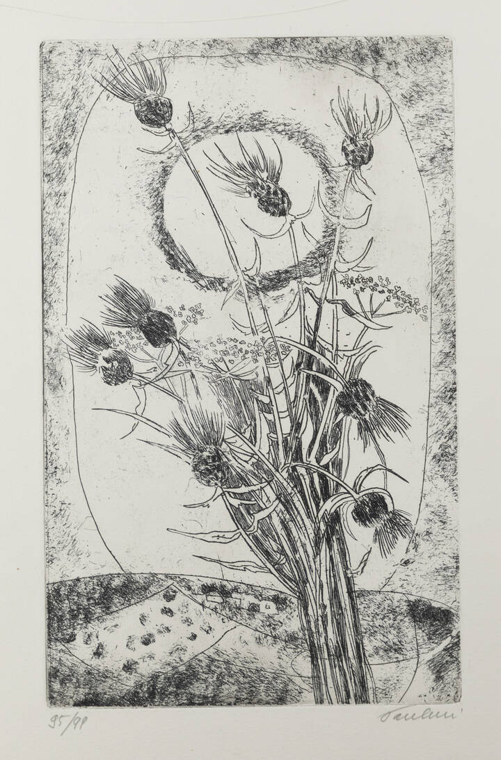 ENRICO PAULUCCI - 'Cardoni e langa'