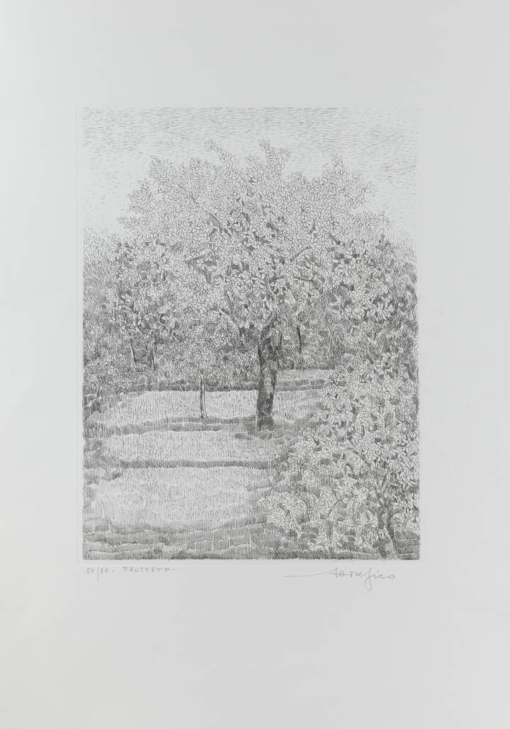 ETTORE FICO - 'Frutteto'