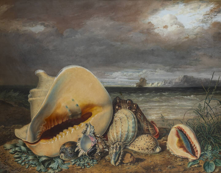 BENJAMIN FILS RASPAIL - 'Coquillages'