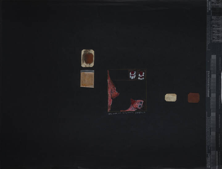 CAROL RAMA - 'Senza titolo'