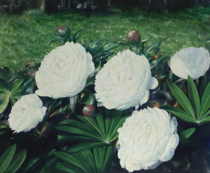 ABACUC (Silvano Gilardi) - 'Fiori'