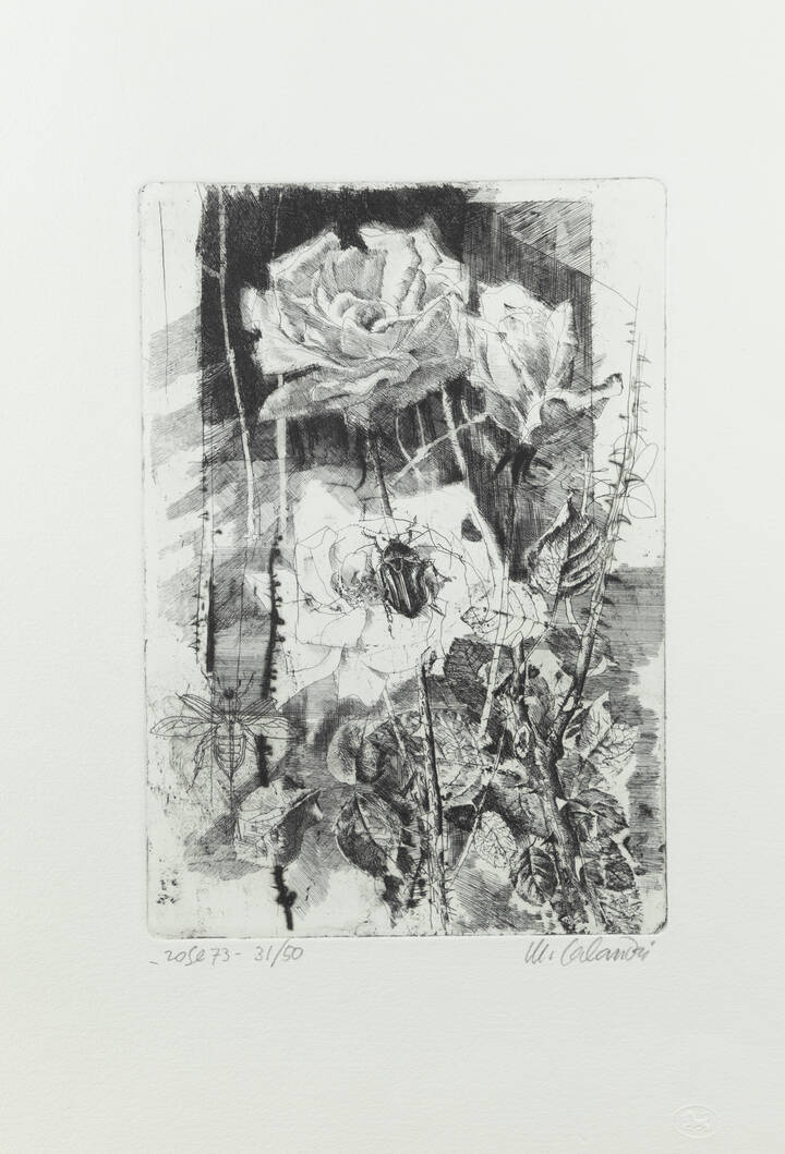 MARIO CALANDRI - 'Rose' 1973