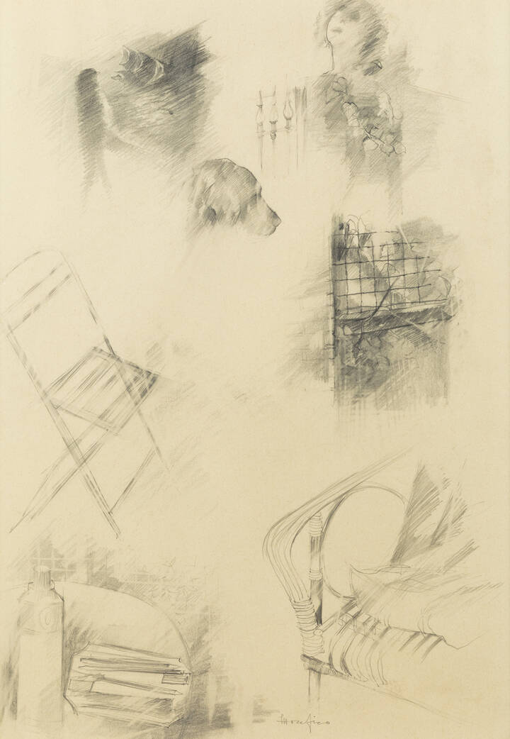 ETTORE FICO - 'Studio morfologico di soggetti' 