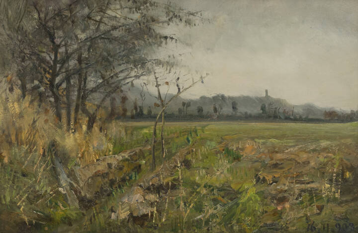 DELLEANI LORENZO (scuola di) - 'Ai margini del campo' 16/11/1903