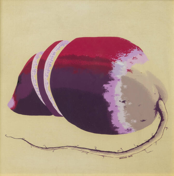 ARMANDO TESTA - 'Rapanello'