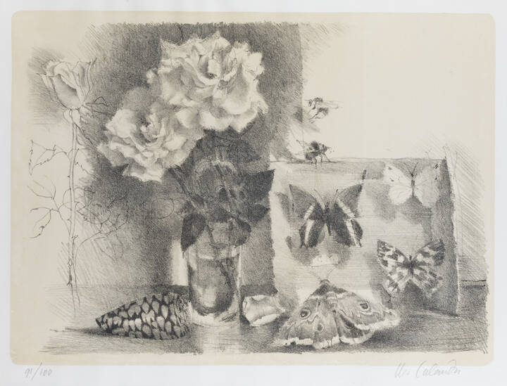 MARIO CALANDRI - 'Senza titolo (rose, conchiglia e scatola degli insetti)' fine anni Cinquanta