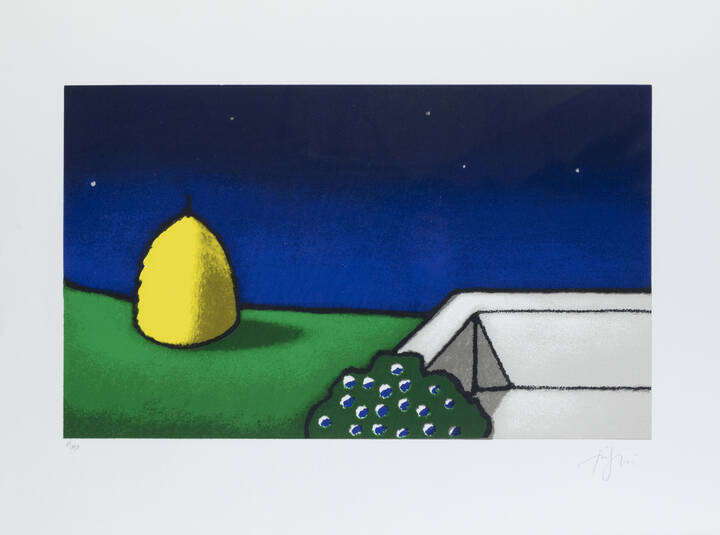 TINO STEFANONI - 'Ombre Discrete' 1987