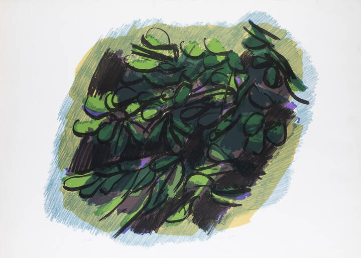 ENNIO MORLOTTI - 'Cespuglio'