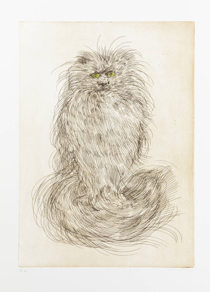 ENRICO COLOMBOTTO ROSSO - 'Gatto'