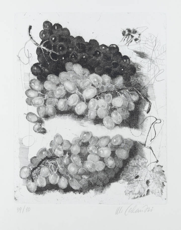 MARIO CALANDRI - 'L'uva' 1978