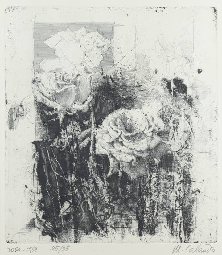 MARIO CALANDRI - 'Rose' 1968