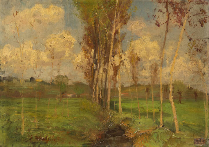 EDOARDO NICOLELLO - 'Nubi d'aprile- Studio'