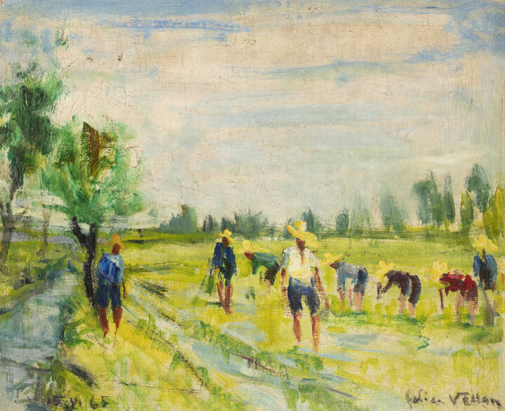 FELICE VELLAN - 'Risaia' Trino (Vercelli) 15-VI-65