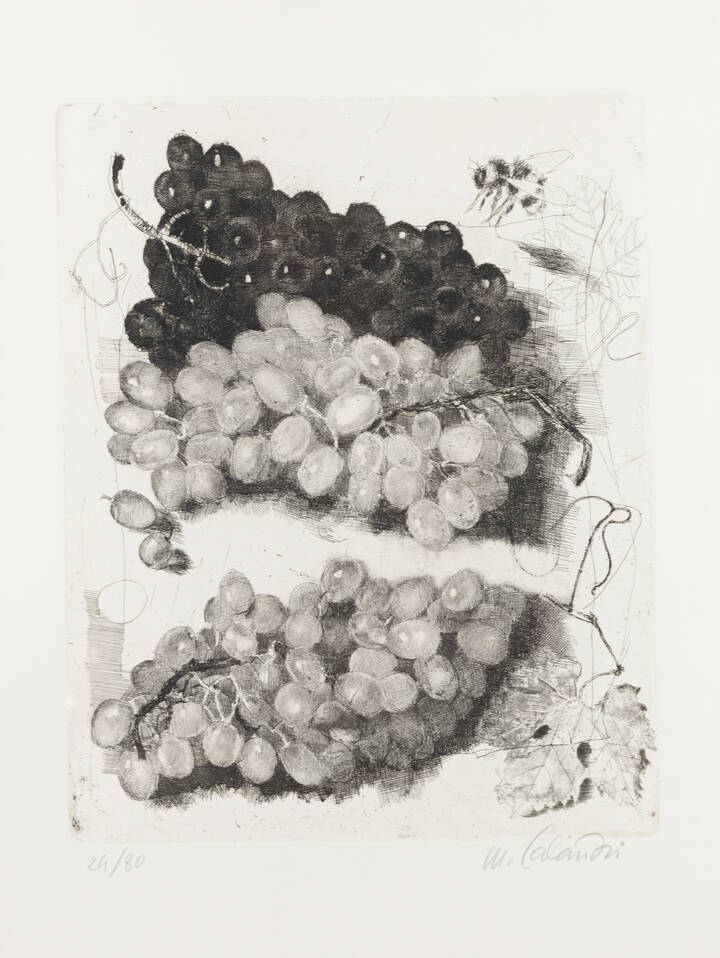 MARIO CALANDRI - 'L'uva' 1978