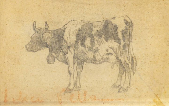 FELICE VELLAN - 'Mucca'