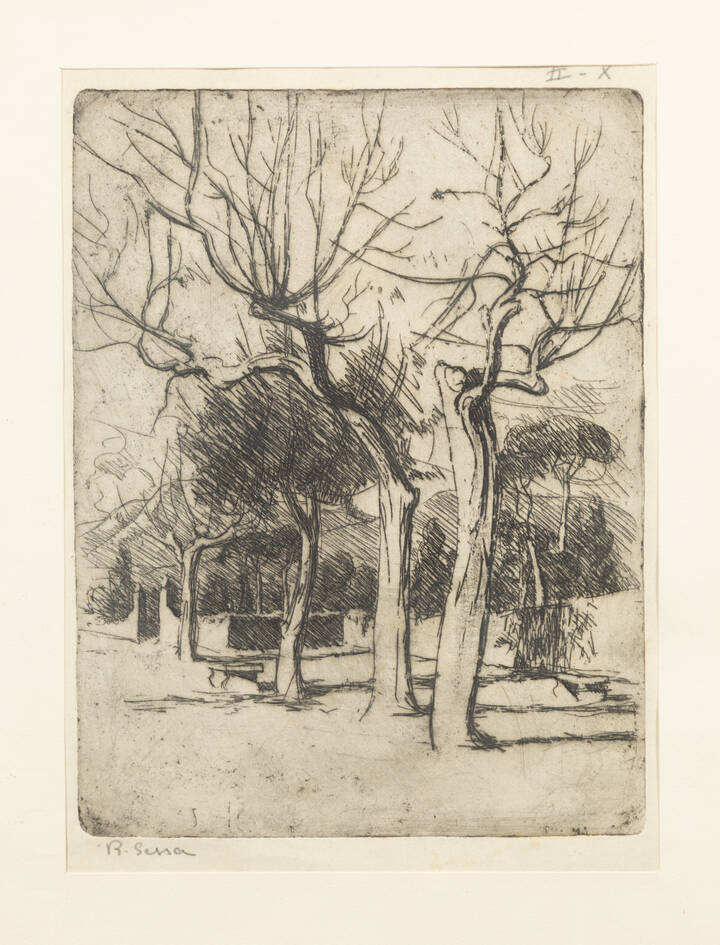 SESSA R. - 'Studio d'alberi' Capri