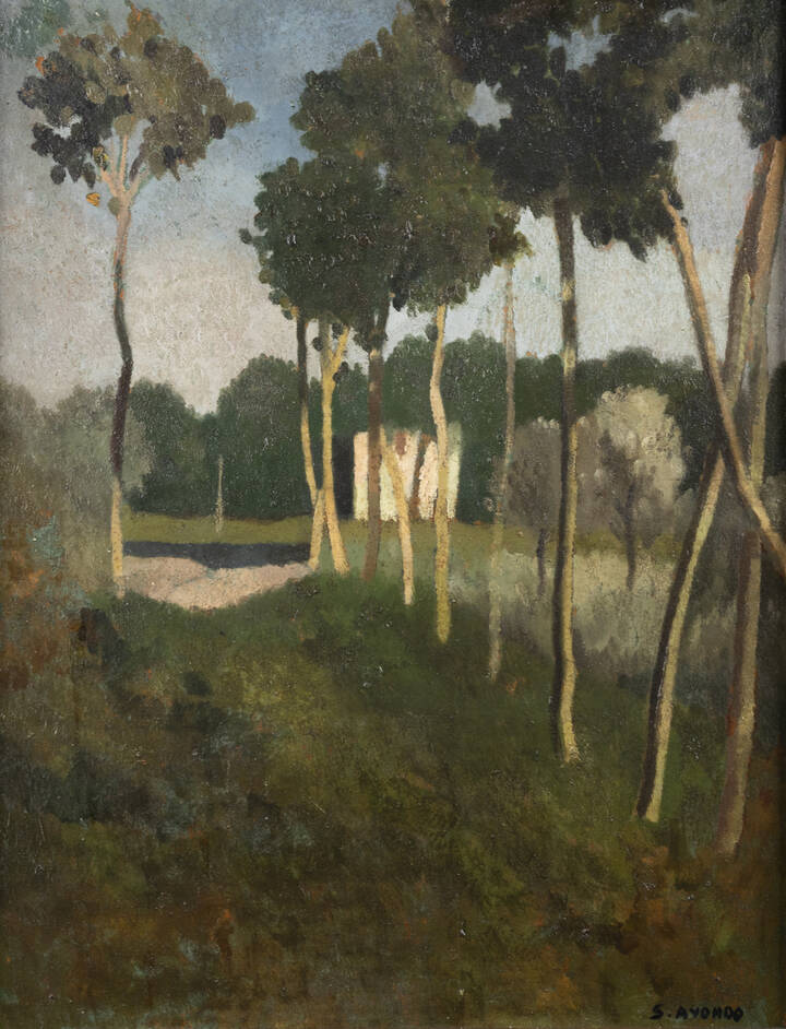 SILVIO AVONDO - 'Viale con alberi'