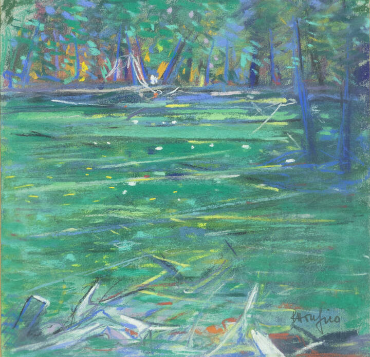 ETTORE FICO - 'Il lago verde' 1988