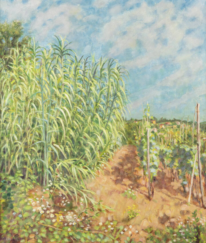 GIUSEPPE MANZONE - 'Vigneto'
