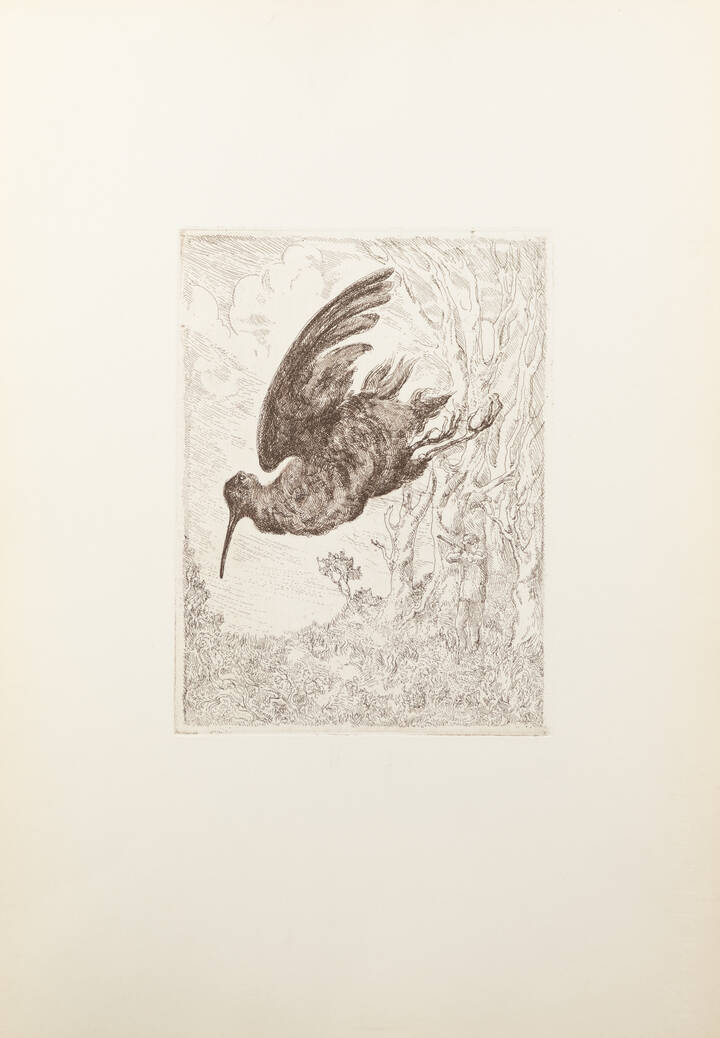 ITALO CREMONA - 'Beccaccia'