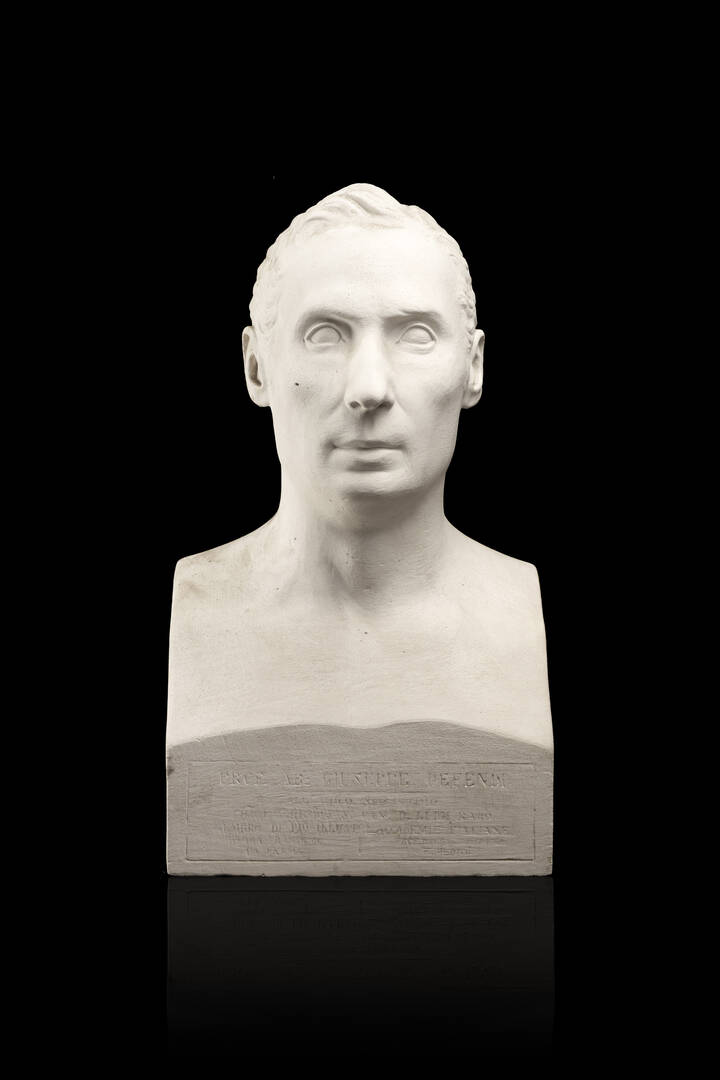 SCULTORE ANONIMO - 'Testa in gesso'