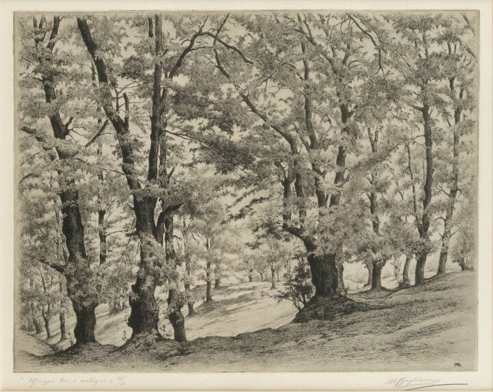 MARCELLO BOGLIONE - 'Meriggio tra i castagni'