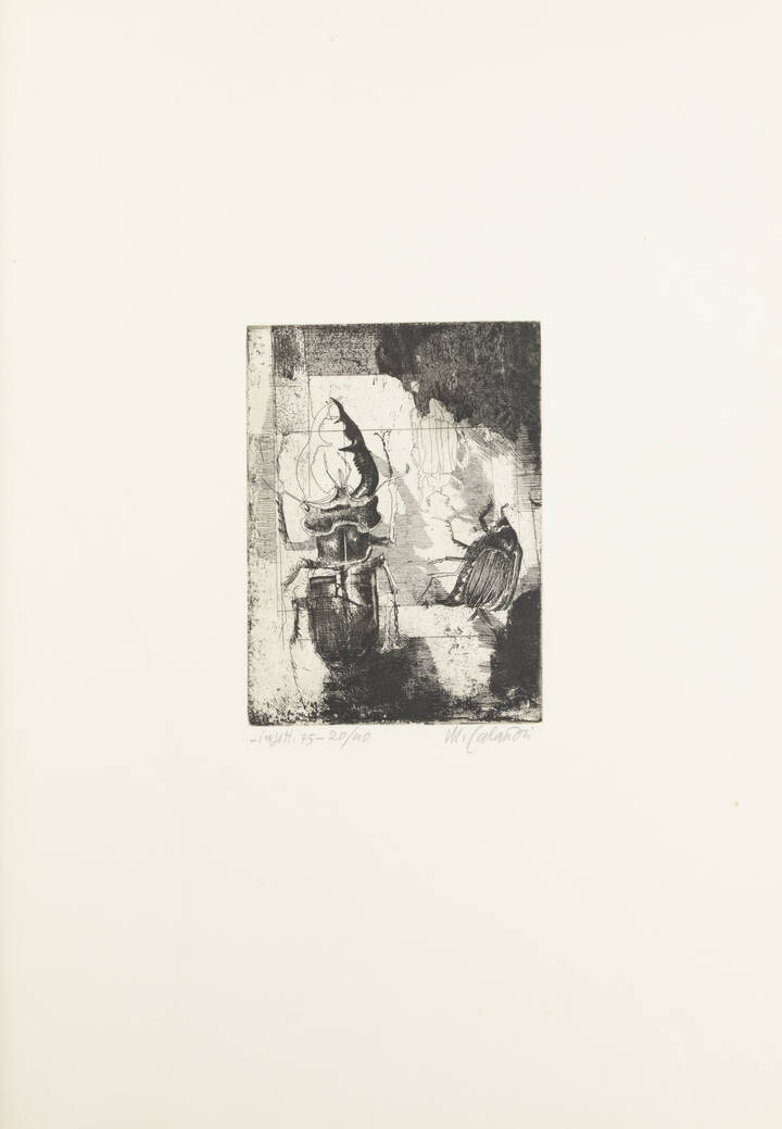 MARIO CALANDRI - 'Insetti', 1975